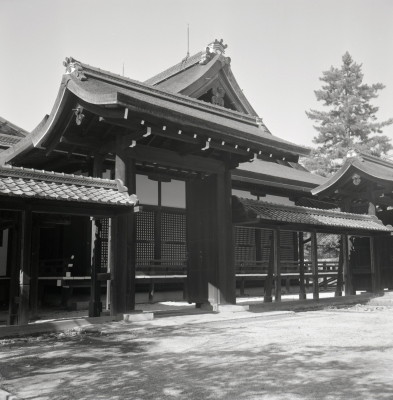 knd_05981(京都府京都市上京区京都御苑)