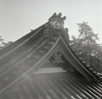 knd_05988(京都府京都市上京区京都御苑)
