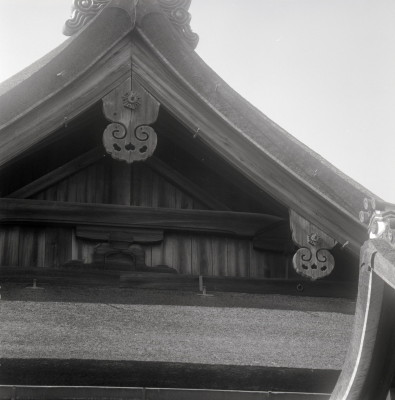 knd_05990(京都府京都市上京区京都御苑)