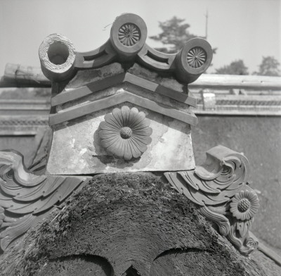 knd_05993(京都府京都市上京区京都御苑)