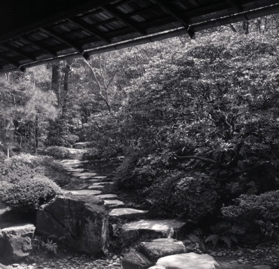 knd_05995(京都府京都市上京区京都御苑)