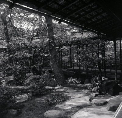 knd_05996(京都府京都市上京区京都御苑)