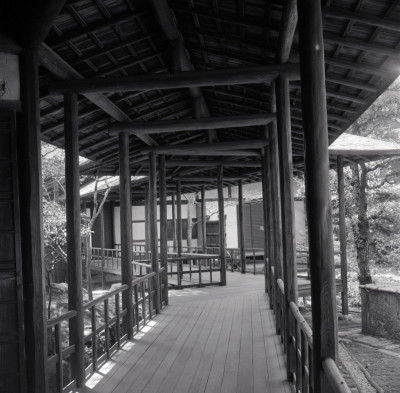 knd_06000(京都府京都市上京区京都御苑)