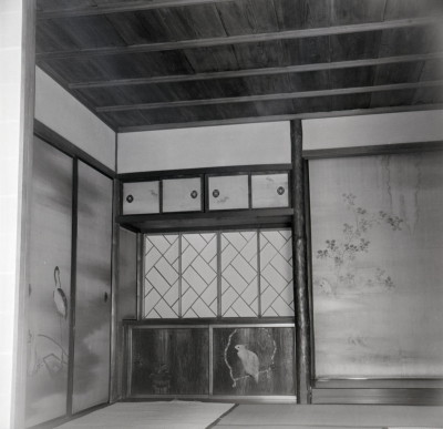knd_06004(京都府京都市上京区京都御苑)