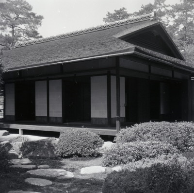 knd_06005(京都府京都市上京区京都御苑)