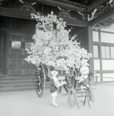knd_06007(京都府京都市上京区京都御苑)