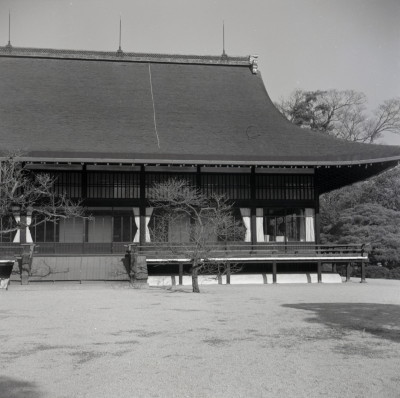 knd_06023(京都府京都市上京区京都御苑)