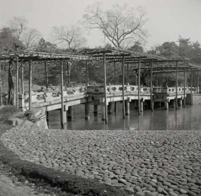 knd_06024(京都府京都市上京区京都御苑)