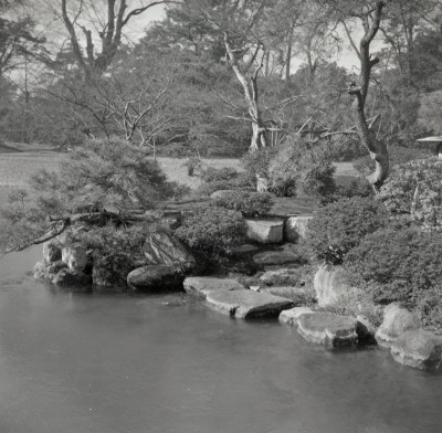 knd_06027(京都府京都市上京区京都御苑)