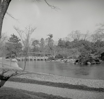 knd_06029(京都府京都市上京区京都御苑)