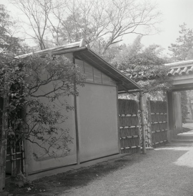knd_06031(京都府京都市上京区京都御苑)