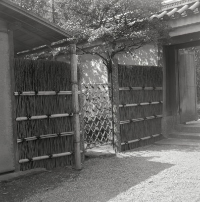 knd_06032(京都府京都市上京区京都御苑)