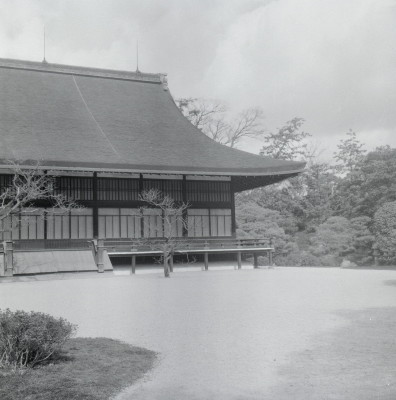 knd_06037(京都府京都市上京区京都御苑)