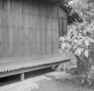 knd_06038(京都府京都市上京区京都御苑)