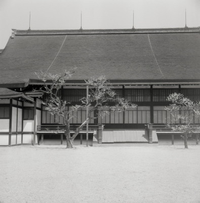 knd_06039(京都府京都市上京区京都御苑)
