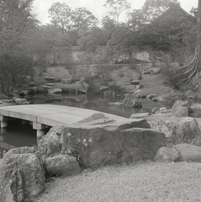 knd_06044(京都府京都市上京区京都御苑)