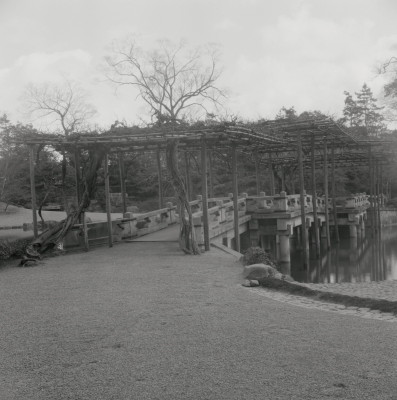 knd_06046(京都府京都市上京区京都御苑)