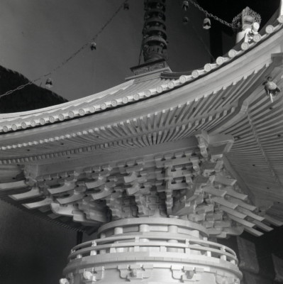 knd_06055(京都府京都市上京区京都御苑)