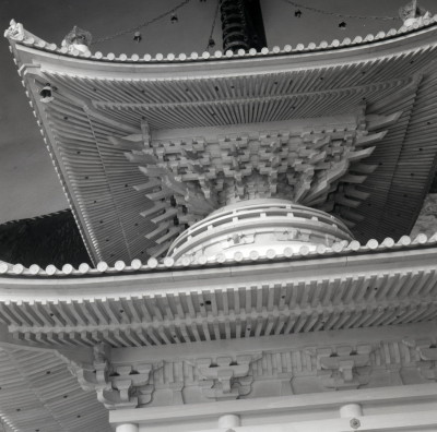 knd_06056(京都府京都市上京区京都御苑)