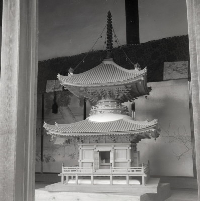 knd_06066(京都府京都市上京区京都御苑)