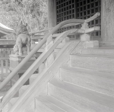 knd_06286(京都府船井郡京丹波町豊田九手１２５)