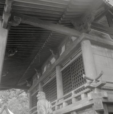 knd_06313(京都府船井郡京丹波町豊田九手１２５)