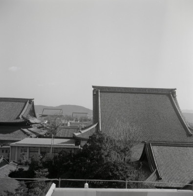 knd_06456(京都府京都市下京区花園町)