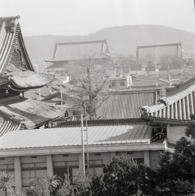 knd_06462(京都府京都市下京区花園町)