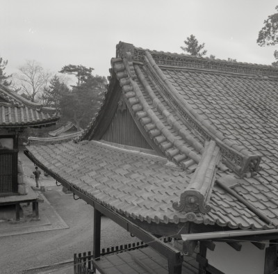 knd_06802(京都府京都市伏見区御香宮門前町１７４)
