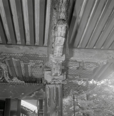 knd_06851(京都府京都市伏見区御香宮門前町１７４)