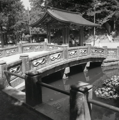 knd_06962(京都府京丹後市峰山町泉)