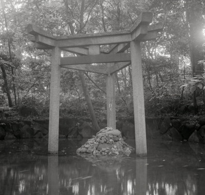 knd_06970(京都府京都市右京区太秦森ケ東町５０)