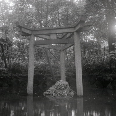 knd_06971(京都府京都市右京区太秦森ケ東町５０)