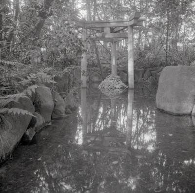 knd_06972(京都府京都市右京区太秦森ケ東町５０)