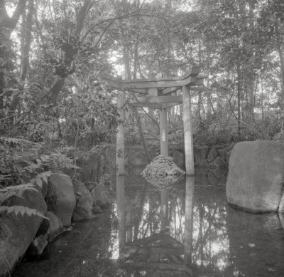 knd_06973(京都府京都市右京区太秦森ケ東町５０)