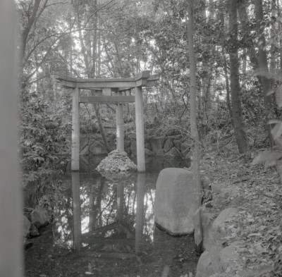 knd_06974(京都府京都市右京区太秦森ケ東町５０)