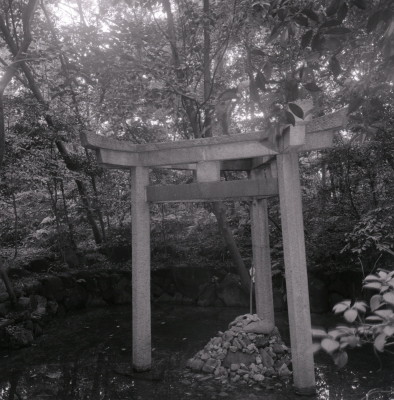 knd_06982(京都府京都市右京区太秦森ケ東町５０)