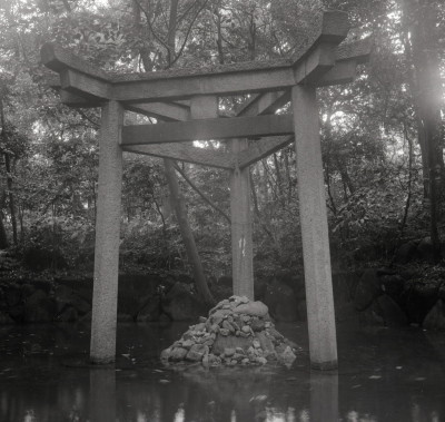 knd_06983(京都府京都市右京区太秦森ケ東町５０)