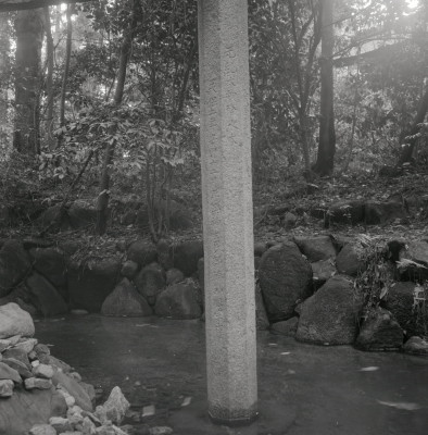 knd_06985(京都府京都市右京区太秦森ケ東町５０)