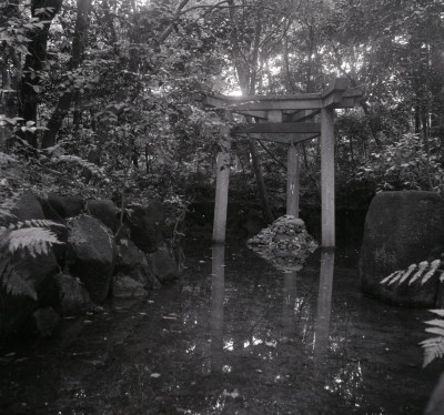 knd_06987(京都府京都市右京区太秦森ケ東町５０)
