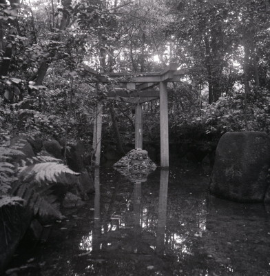 knd_06988(京都府京都市右京区太秦森ケ東町５０)