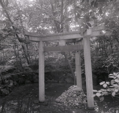 knd_06989(京都府京都市右京区太秦森ケ東町５０)