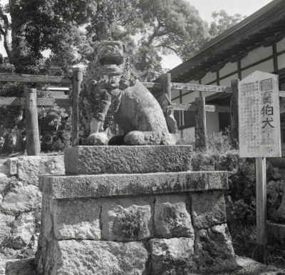 knd_07009(京都府宮津市大垣４３０)
