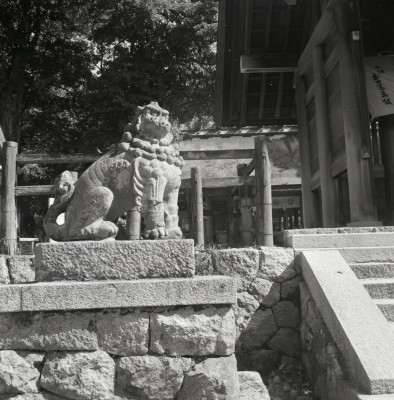 knd_07010(京都府宮津市大垣４３０)