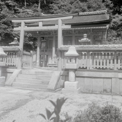 knd_07036(京都府木津川市加茂町兎並寺山４１)