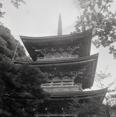 knd_07213(京都府舞鶴市鹿原５９５)