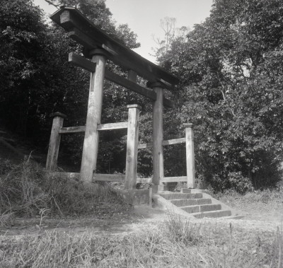 knd_07301(京都府京田辺市宮津佐牙垣内１６４)