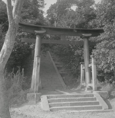 knd_07302(京都府京田辺市宮津佐牙垣内１６４)