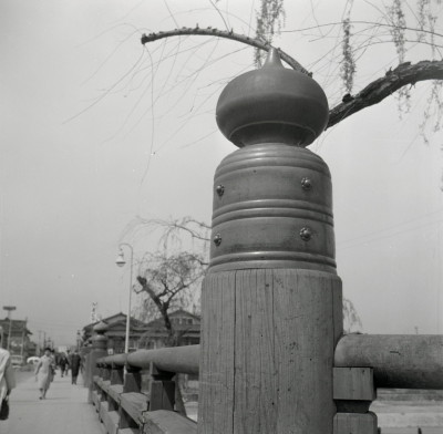 knd_07353(京都府京都市東山区大橋町)