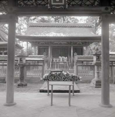 knd_07389(京都府木津川市相楽清水１)